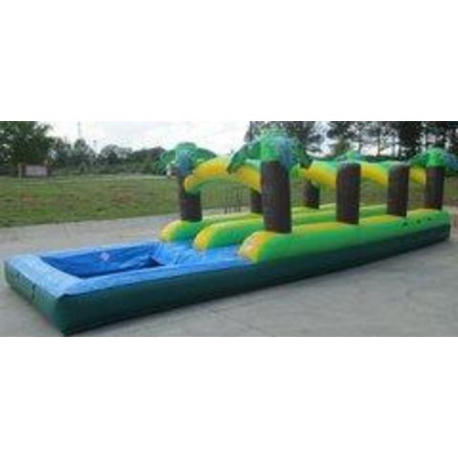 Double Lane Palm Slip-n-Slide