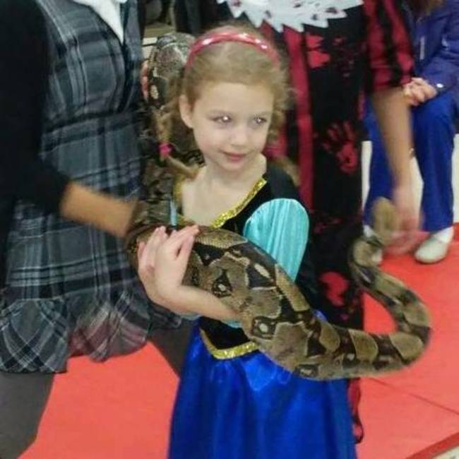 pet show