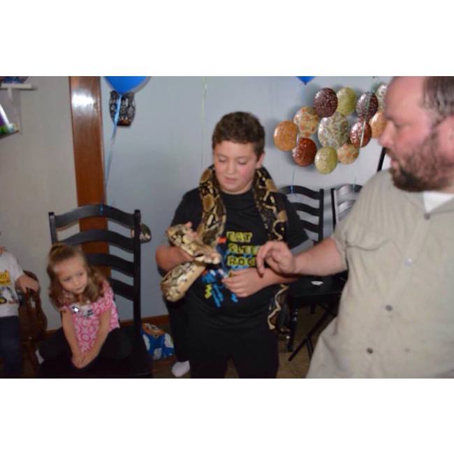 pet show
